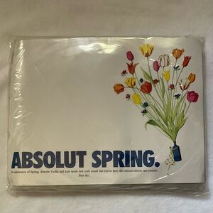 NEW Absolut Spade Promo Collab New York Kate Spade Hooded Rain Poncho